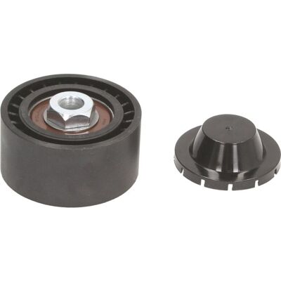 BTA E2R5603BTA Polea - Diámetro 60mm, 10mm interior, 30mm ancho BTA E2R5603BTA Polea - Diámetro 60mm, 10mm interior, 30mm ancho