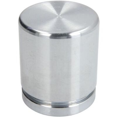 Pistón de pinza de freno de acero D025382 - Sistema de frenos Pistón de pinza de freno de acero D025382 - Sistema de frenos