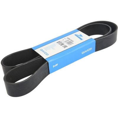 DAYCO 10PK1440 Correa en V - V-belt DAYCO 10PK1440 Correa en V - V-belt