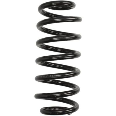 KYB K-Flex Resorte de suspensión delantero para Audi A6 C6 - Resorte de suspensión KYB K-Flex Resorte de suspensión delantero para Audi A6 C6 - Resorte de suspensión