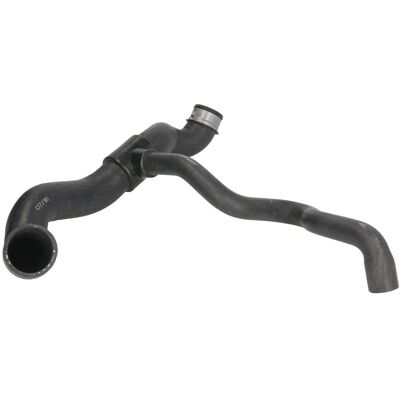 THERMOTEC DWM069TT - Manguera de refrigeración - Posición inferior - Mercedes-Benz 2035011182 THERMOTEC DWM069TT - Manguera de refrigeración - Posición inferior - Mercedes-Benz 2035011182