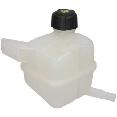 Vaso de expansión THERMOTEC DBR013TT - Refrigerante para Renault Koleos I Vaso de expansión THERMOTEC DBR013TT - Refrigerante para Renault Koleos I