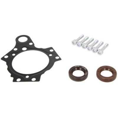 Kit de reparación VDO para bomba de riel común - Juego de juntas para bomba de inyección Kit de reparación VDO para bomba de riel común - Juego de juntas para bomba de inyección