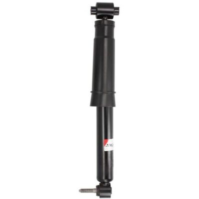 Amortiguador Magnum Technology AGR159MT - Eje trasero Amortiguador Magnum Technology AGR159MT - Eje trasero