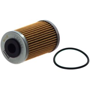 Filtro de aceite Champion HF655 para motocicletas - Duradero y de alto rendimiento Filtro de aceite Champion HF655 para motocicletas - Duradero y de alto rendimiento