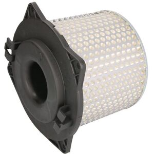 Filtro de aire HIFLO HFA3602 Filtro de aire HIFLO HFA3602