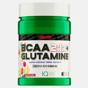Vaexdar Supplements Vaexdar - Bcaa + Glutamina - Aminoácidos con Glutamina - Bcaa 2.1.1 + Glutamina Kyowa - Fast Recovery - Bcaa Glutamina - Sabor Ponche de Frutas - 500 gr
