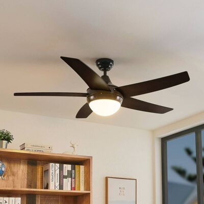 Lindby ventilador de techo con luz Auraya, silencioso, negro Auraya, Negro, Salón / Comedor, Metal, Moderno Lindby ventilador de techo con luz Auraya, silencioso, negro Auraya, Negro, Salón / Comedor, Metal, Moderno