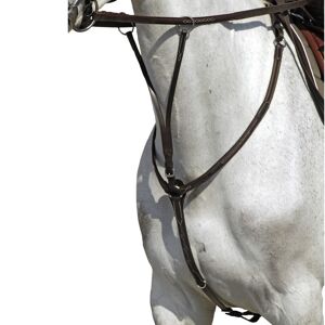 Fouganza Pechopetral + Gamarra Equitación Romeo Caballo Y Poni Negro CS