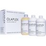 OLAPLEX - SALON INTRO set 3 u