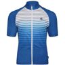 Maillot de ciclismo Dare 2B Virtuous AEP para hombre