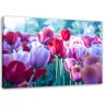 Feeby Canvas print, Meadow of tulips