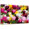 Feeby Canvas print, Meadow full of tulips