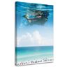 Feeby Canvas print Sky diving