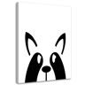 Feeby Canvas print Raccoon Animal