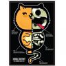 Grindstore The Common House Cat Animal Anatomy Mini Póster