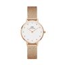 Daniel Wellington DW00100528 Bayan Kol Saati