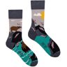 Spox Sox Osos - calcetines de colores 36-39