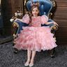 dream encantador Vestido de princesa para niñas, vestido hinchado de malla con lentejuelas y mangas abullonadas para falda de pasarela de niña de flores