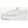 Nike Blazer Mujer Plataforma Baja DJ0292 105