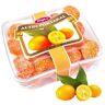 Tugba Kuruyemis Lleno de Vitaminas Snack Secado Naranja Dorada 95 Gr