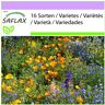 SAFLAX - Mountain Meadow - 1000 semillas - 16 Mezcla de flores silvestres