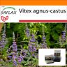 SAFLAX - Garden in the Bag - Monk's Pepper - 30 semillas - Con sustrato en una bolsa de pie adecuada - Vitex agnus-castus