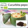 SAFLAX - Orgánico - Calabacín - Tondo di Nizza - 5 semillas - Con sustrato de maceta para un mejor cultivo - Cucurbita pepo