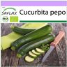 SAFLAX - Orgánico - Calabacín - Nero di Milano - 6 semillas - Cucurbita pepo