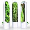 Ambiel Charm Refrigerador para verduras, recipiente para verduras, botella para conservar hierbas, cilantro, menta, perejil y espárragos verdes frescos