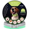 Han Ming DEWEL-Collar fluorescente luminoso reflectante antipérdida para perros, prevención de pulgas y garrapatas, repelente de mosquitos para exteriores