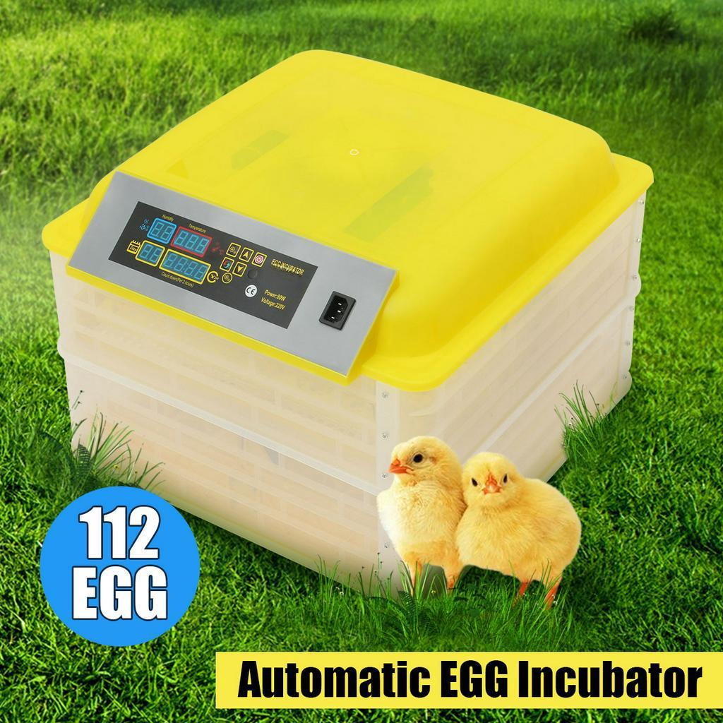 iHome Global Incubadora automática Digital de 112 huevos con enchufe estadounidense/europeo, incubadora automática con Control de temperatura, máquina para incubar pollos y aves de corral