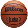 Wilson NBA Jr DRV Fam Logo Balón, Unisex Naranja Baloncesto