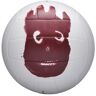 Wilson echa fuera Mr Wilson Voleibol