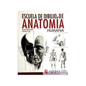 Grand Cours D'anatomie Artistique - L'homme