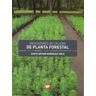 Ediciones Mundi-Prensa Indicadores De Calidad De Planta Forestal