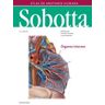 Elsevier Sobotta Atlas De Anatomia Humana Vol 2 24 Ed