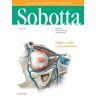 Elsevier Sobotta Atlas De Anatomia Humana Vol 3 24 Ed