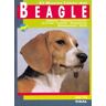 Tikal Beagle El Nuevo Libro Del Beagle