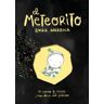 Lunwerg Editores El Meteorito