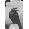 Lo Scarabeo. Bolsa Cuervo (crows)