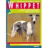 Tikal Whippet El Nuevo Libro Del Whippet
