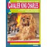 Tikal Cavalier King Charles El Nuevo Libro Del Cavalier King Charles