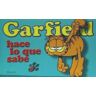 Lumen Garfield Hace Lo Que Sabe