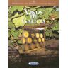 Susaeta Ediciones Productos Con Denominación De Origen. Vinos De Galicia