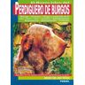 Susaeta Ediciones Pedriguero De Burgos.