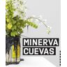 RM Verlag, S.L Minerva Cuevas