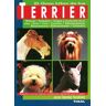 Susaeta Ediciones El Gran Libro De Los Terrier. Terrier