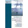 Aerodinámica Civil : Efectos Del Viento En Edificaciones Y Estructuras