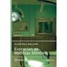 Interzona Editora Evocación De Matthias Stimmberg